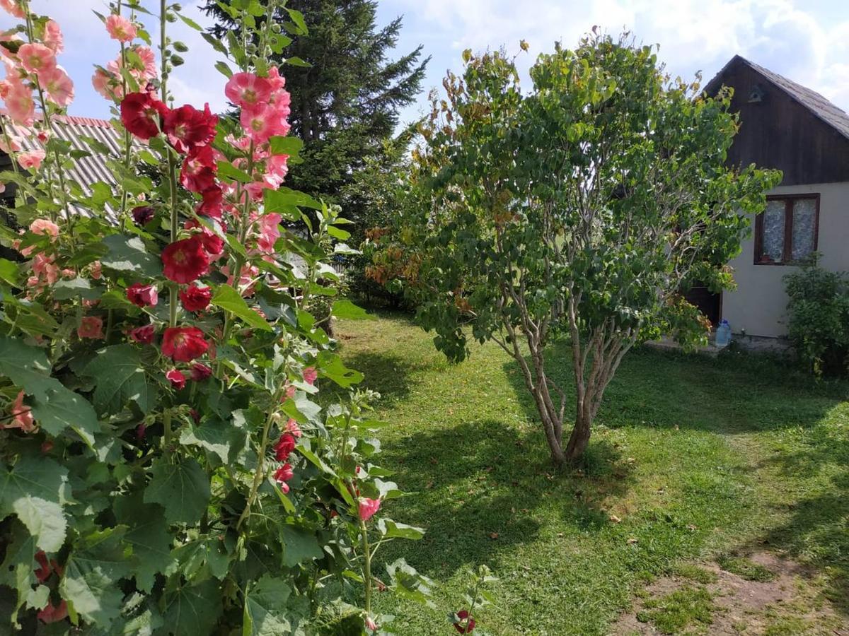Kovcica Rooms Žabljak Exteriér fotografie
