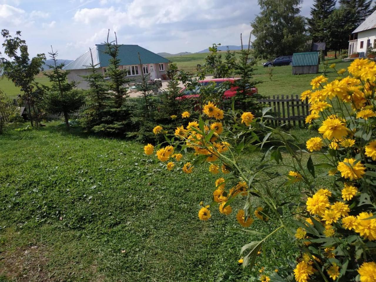 Kovcica Rooms Žabljak Exteriér fotografie